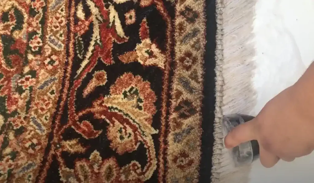 نگهداری از ریشه فرش