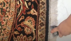 نگهداری از ریشه فرش