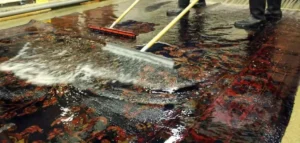 شستشوی فرش با وایتکس